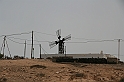 Kanary_2010 137